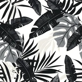 Jungle 247